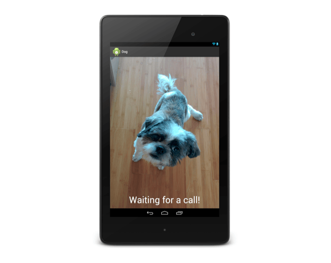 dog-app.png